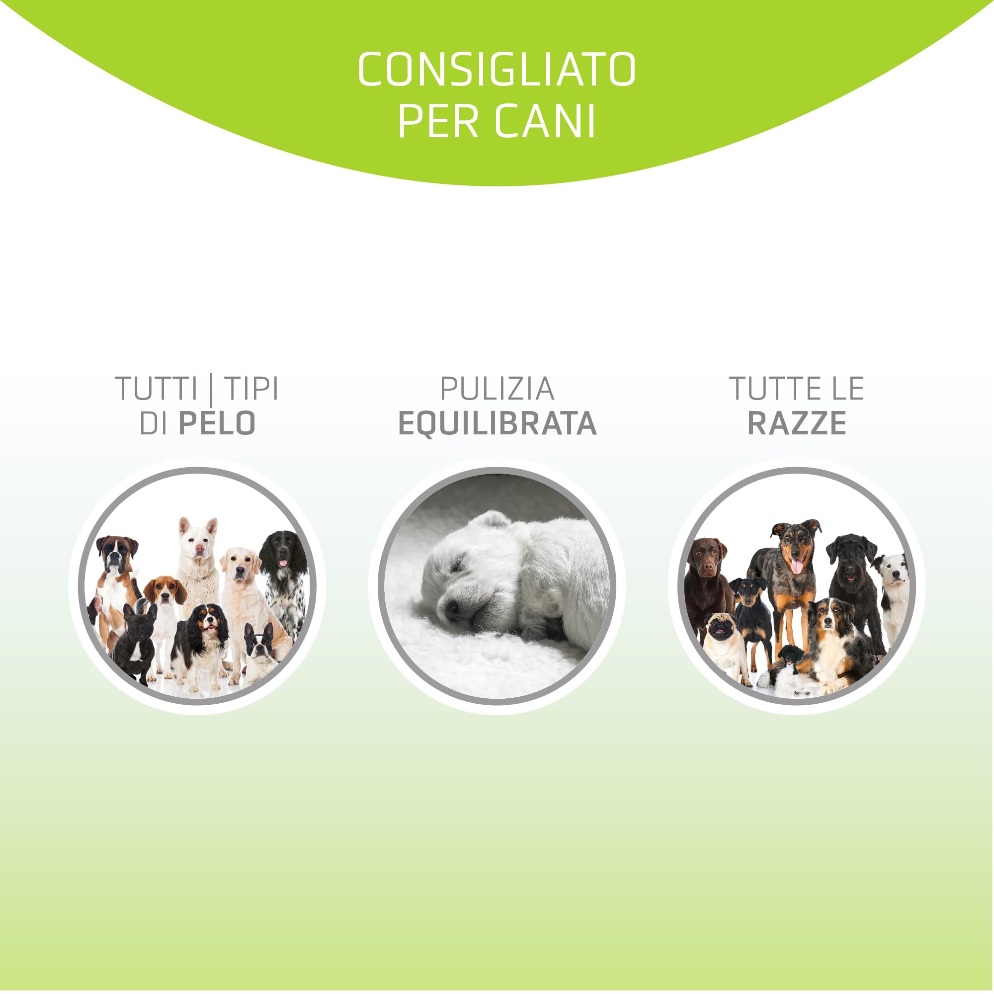 Artero Basic Shampoo 5L - Pulisce e rimuove sporco e grasso, per tutti i tipi di manto
