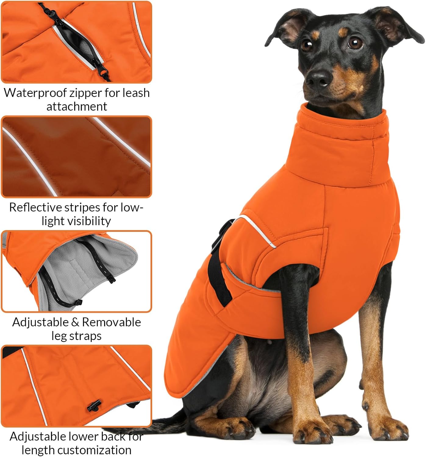 Queenmore Winter Dog Coat Warm Dog Jacket Vest Waterproof Puffer Fleece Snowsuit Adjustable Buckle Leash Hole Reflective Cold Weather Parka for Small Medium Large Dogs Girl Boy Orange M