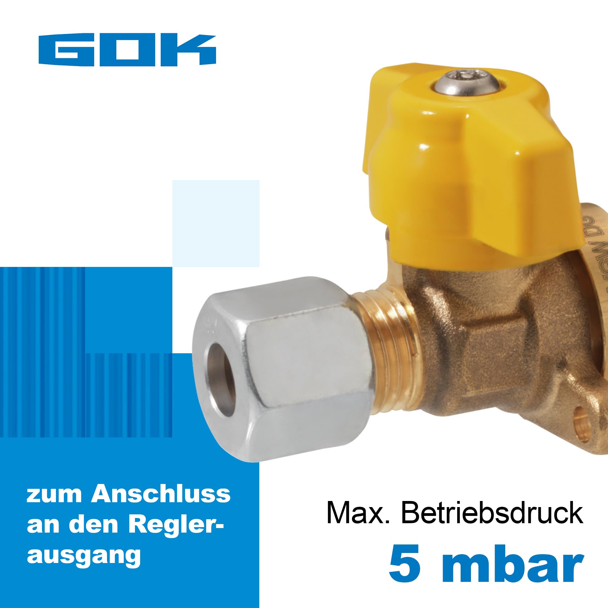 GOK Kupplungsventil mit Flansch RVS8 x Steckkupplung, Koppelventil aus Messing, verwendbar bis 5 Bar, manipulationssicher, DVGW-zertifiziert