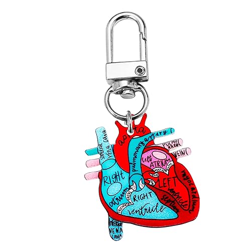 Heart Diagram Keychain,Anatomy and Blood Circulation Diagram of the Heart,Acrylic