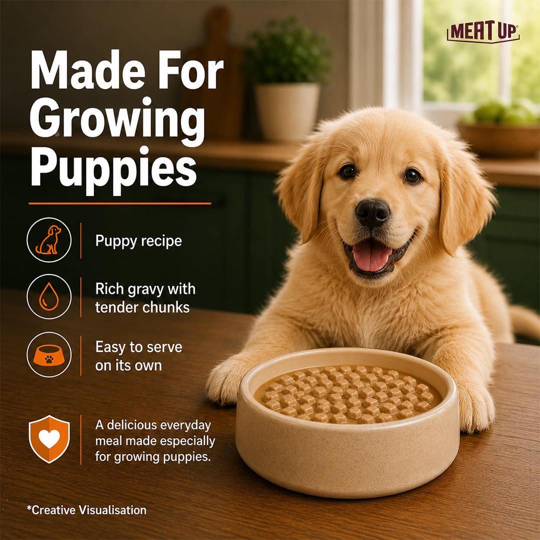 Meat Up Puppy Wet Dog Food, 16 Pouches × 70g, Total 1.12kg | Real Chicken in Gravy | Complete & Balanced Meal | Supports Digestion & Vitality 2