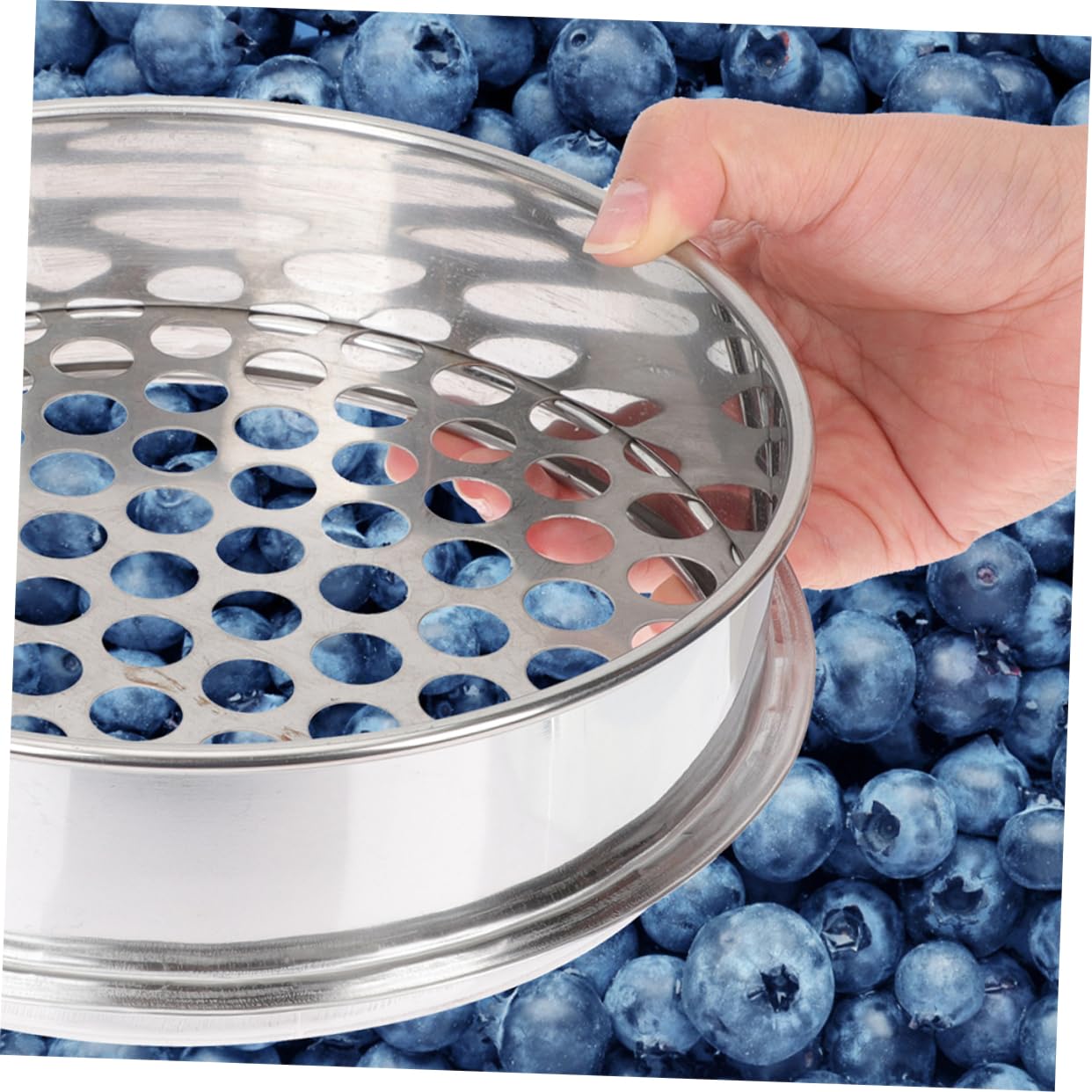 MAGICLULU 2 Stück Edelstahl Bodensieb Rund mit Feinem Loch zum Sortieren von Blaubeeren und Pilzen Leicht zu Reinigen Effizientes Küchensieb für Gartenarbeit und Lebensmittel