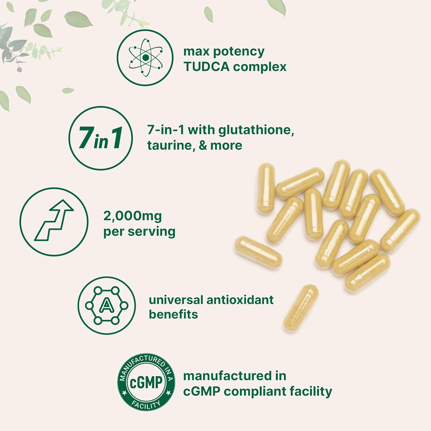 TUDCA 2,000mg Bile Salts Supplement, 240 Capsules | Powerful 7-in-1 Formula with NAC, Milk Thistle, Glutathione, Dandelion, Artichoke, & Taurine | Extra Strength Tauroursodeoxycholic Acid | Non-GMO - Image 3