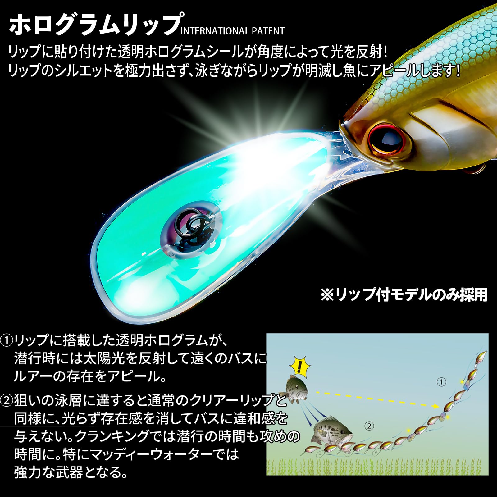 Amazon.co.jp: DUEL(デュエル) HARDCORE(ハードコア) バスルアー