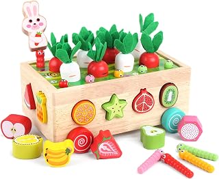 KMTJT Montessori Wooden Carrot Harvest Shape Sorter Toy for 1-3 Year Old Toddlers - Fine Motor Skills Educational Game