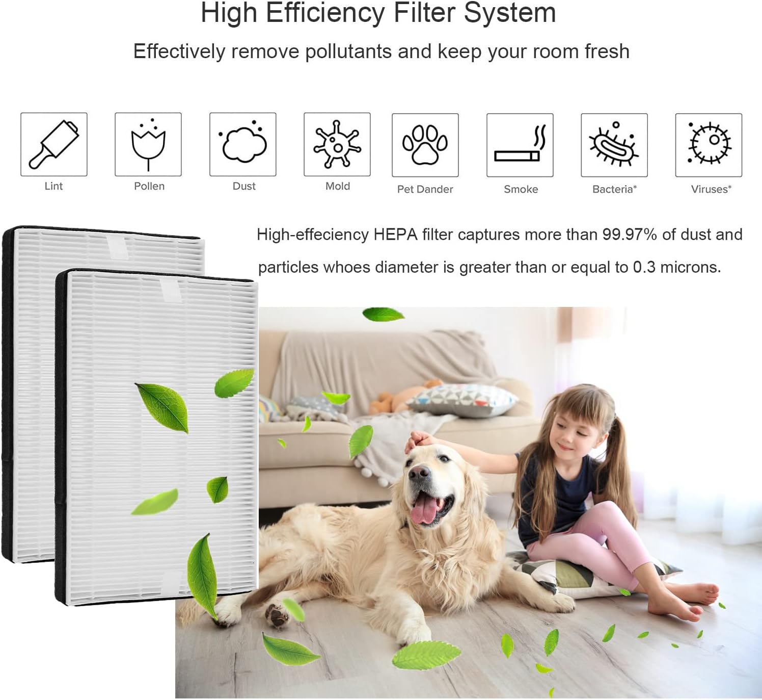 Drolma F2 A2 replacement filter, compatible with 3M Filtrete Air Purifier models FAP-C02WA-G2,FAP-C03BA-G2,FAP-C02-F2,FAP-T03-F2 and FAP-TO3-A2, 2pack