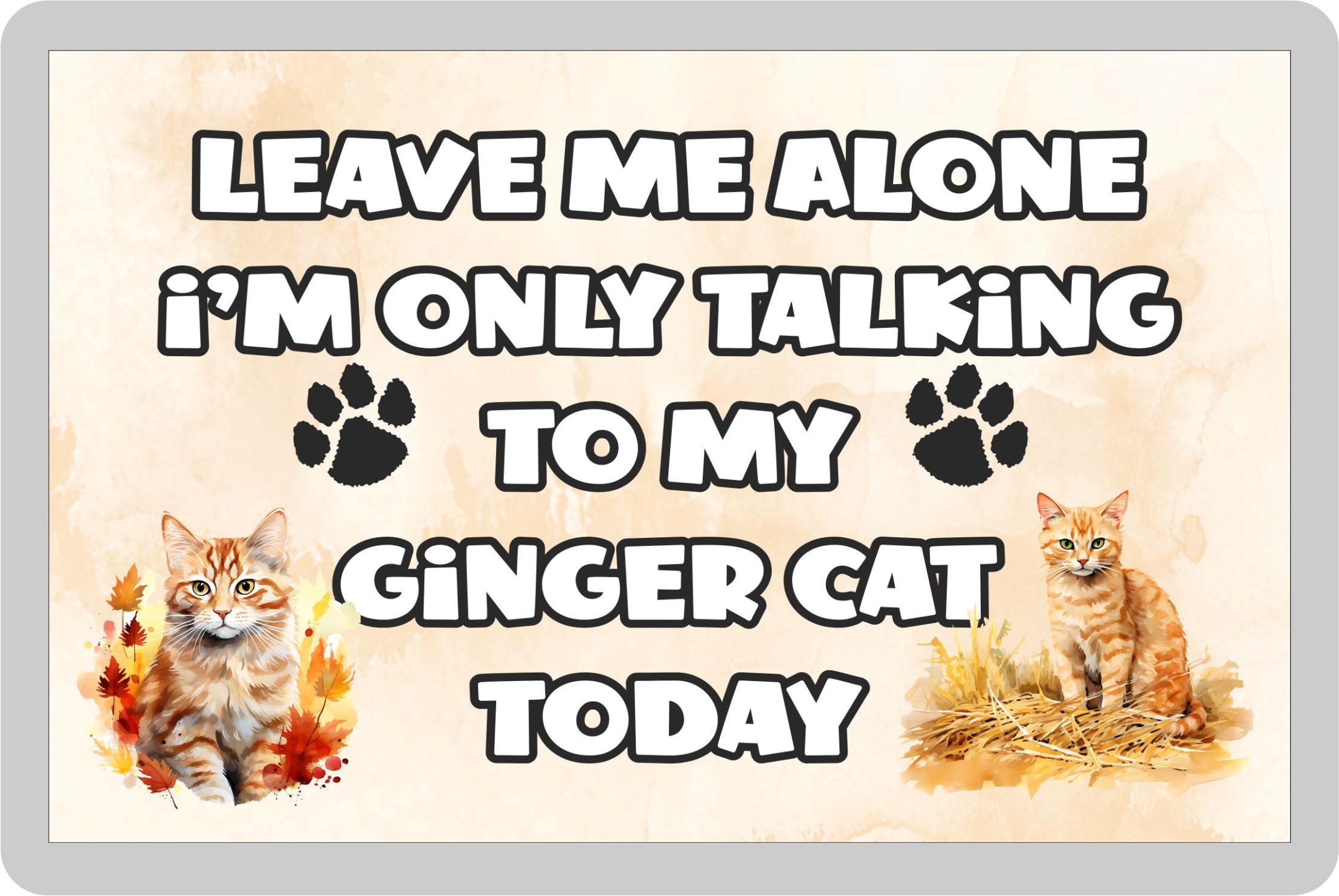 Decalarama White Ginger Cat Fridge Magnet Gift – Leave Me Alone I'm Only Talking To My * Today - Fun Cute Novelty Present