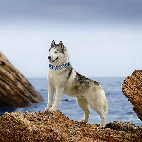 Miniatura 4 de Elegant little tail Collar para perro, diseño de tiburón azul, collar para mascotas, duradero y lindo, collar para perros machos o hembras, regalo