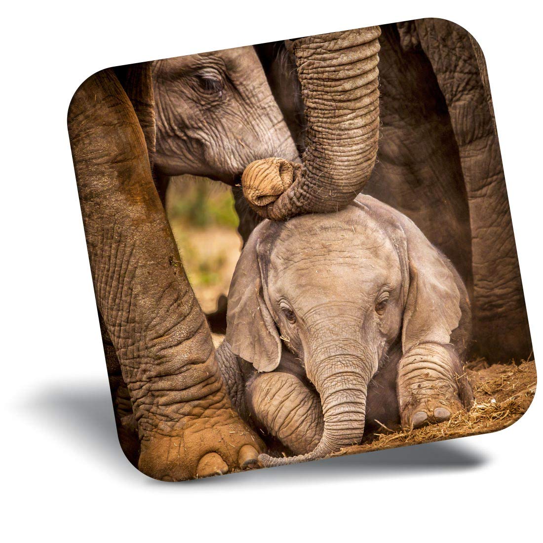 Destination Vinyl ltd Fridge Magnet - Baby African Elephant Herd Africa Animal for Office, Cabinet and Whiteboard, Magnetic Stickers, 44192