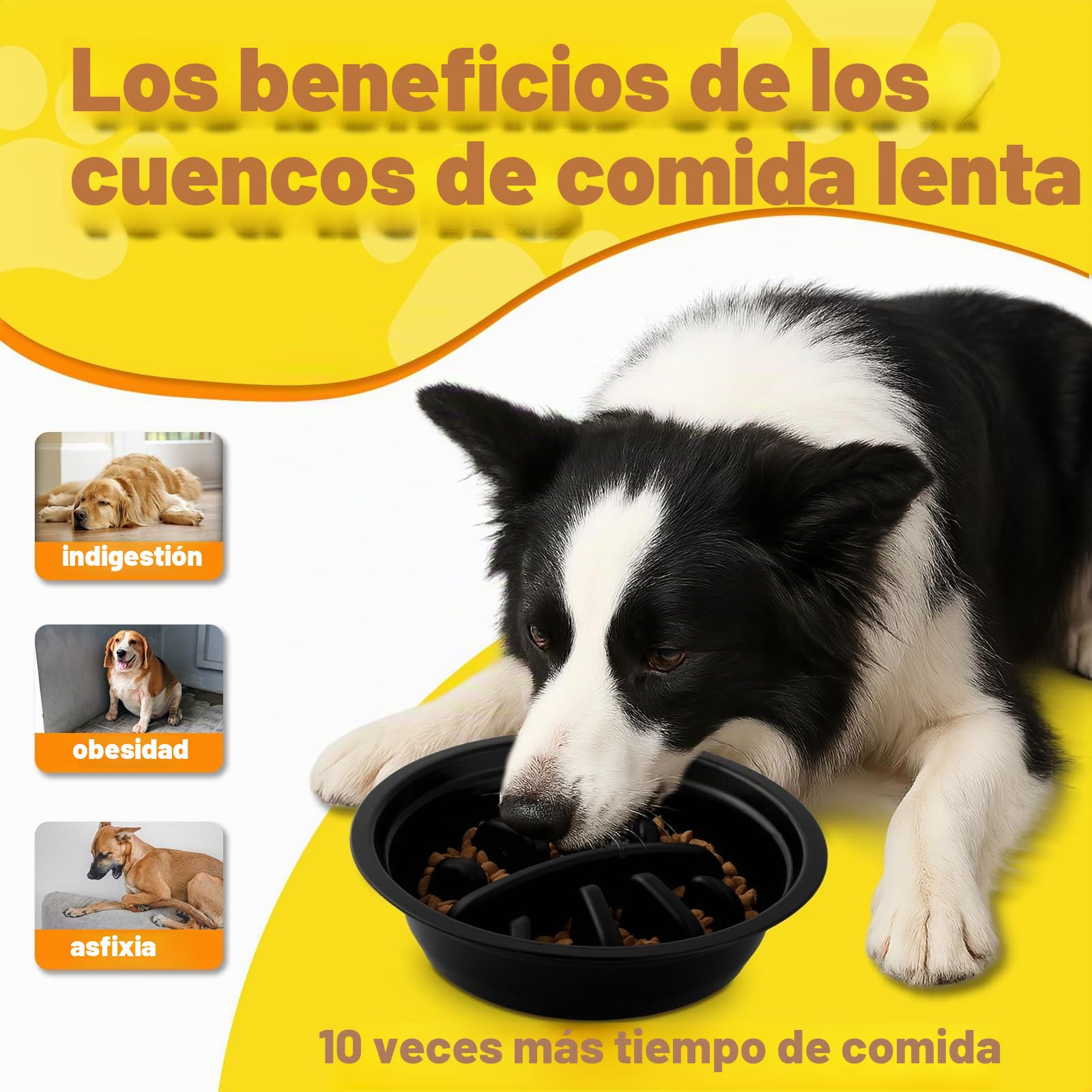 Comedero Perro Elevado y Ajustable - Bebedero, Antiatragantamiento, de Viaje y Alfombrilla - Base Antideslizante para Perros Medianos/Grandes
