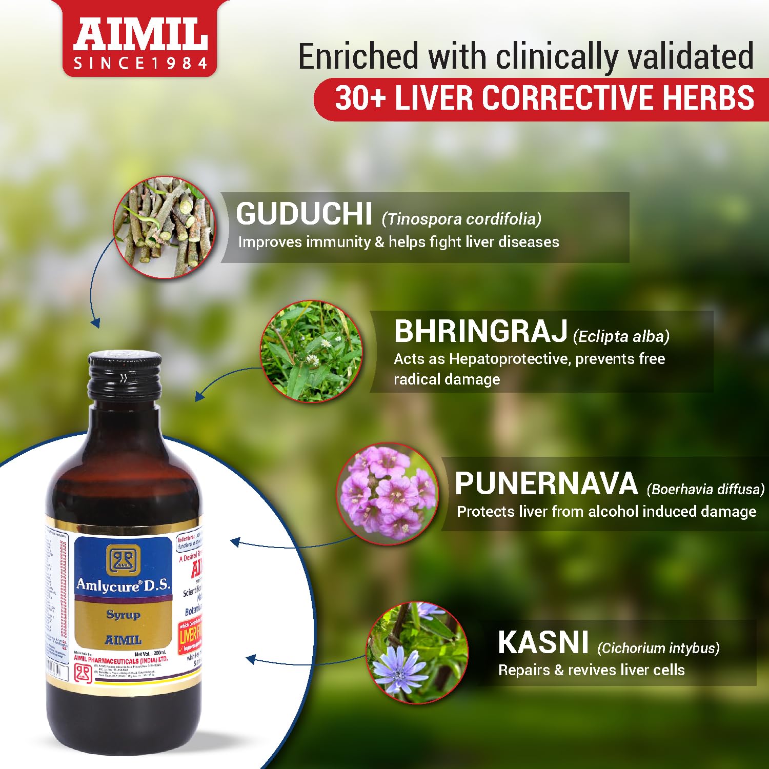 AIMIL Amlycure D.S. Syrup for Liver Health – 200ml | Ayurvedic Liver Tonic & Metabolism Booster | Supports Digestion, Appetite, and Detoxification with Natural Botanical Extracts (Pack of 2) — Amazon image 2