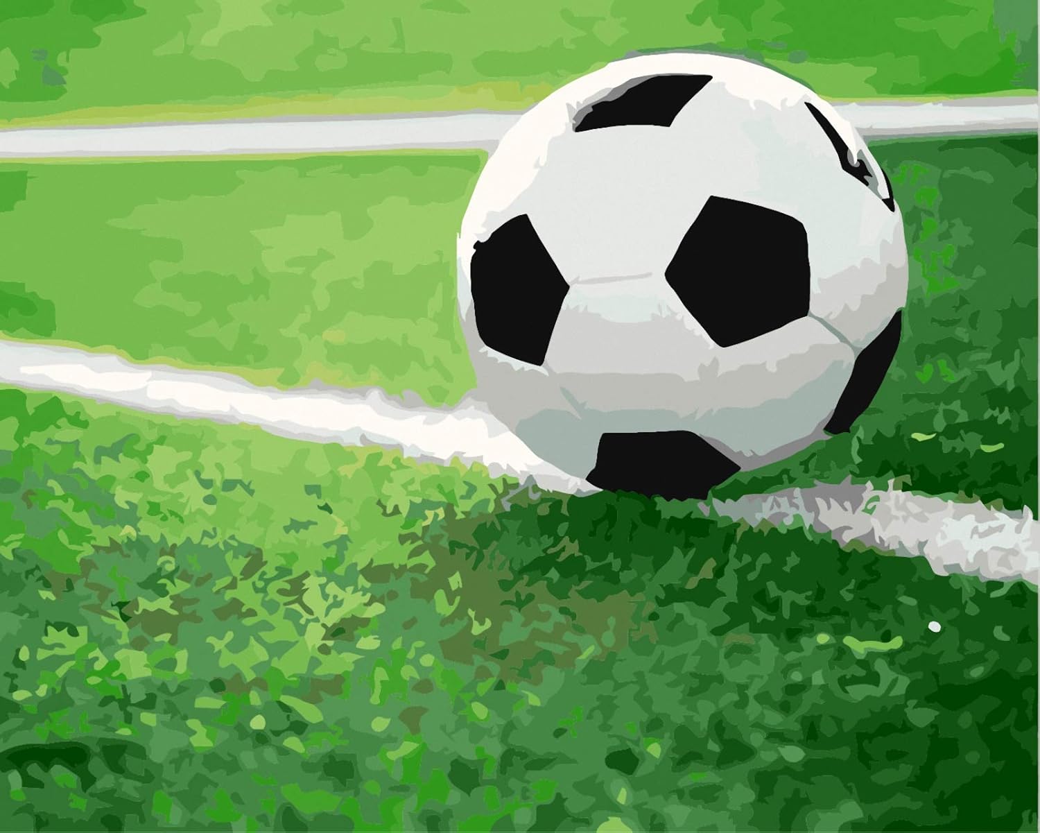 DIY Oil Painting Football Field Paint by Number Kit for Adults Kids Drawing with Brushes Paint, Suitable for All Skill Levels 40x50cm