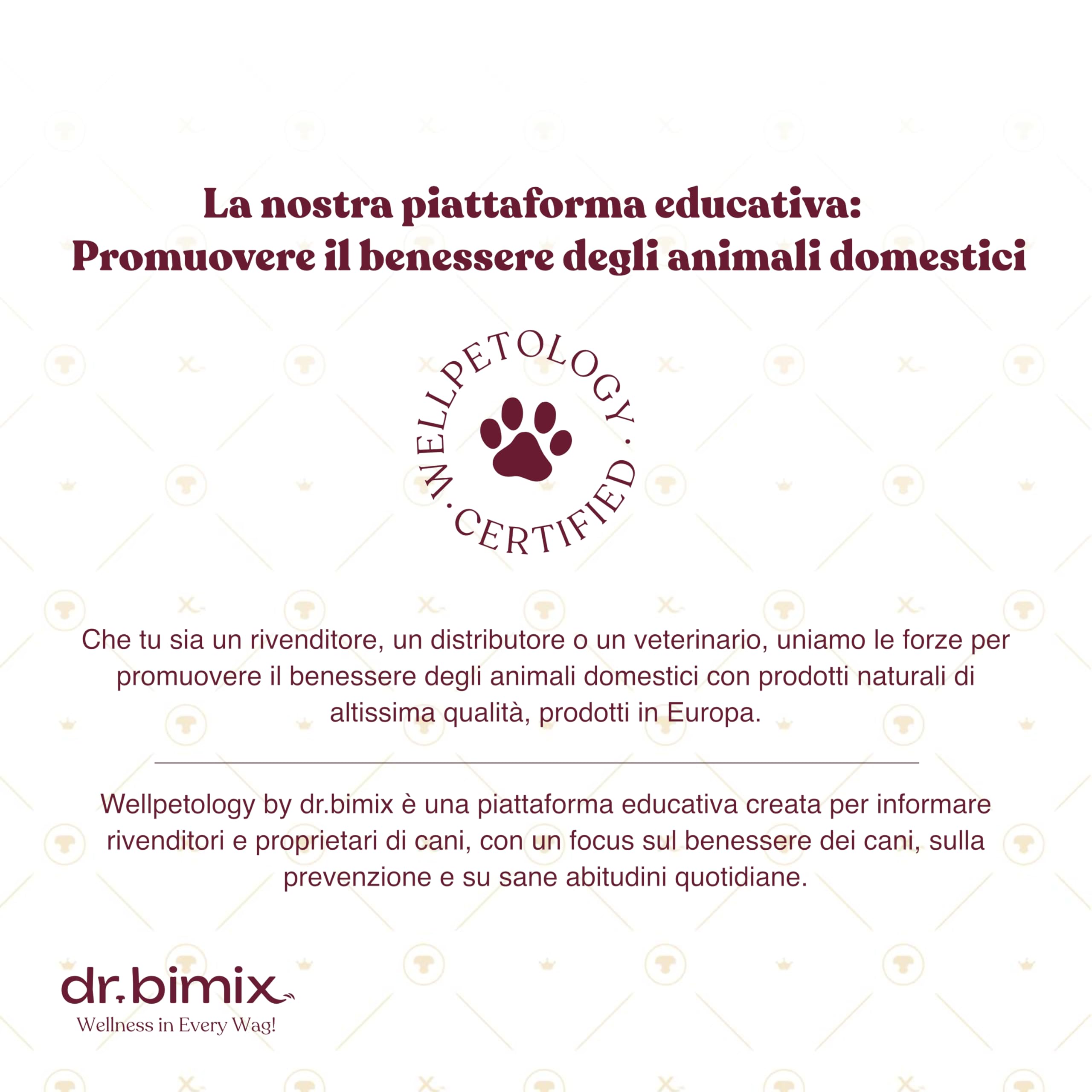 Bastoncini per Cani di Nervi di Toro | Snack Naturale Disidratato | Salute Dentale e Benessere | Alta Durezza | Senza Additivi - 450g (20 pezzi)