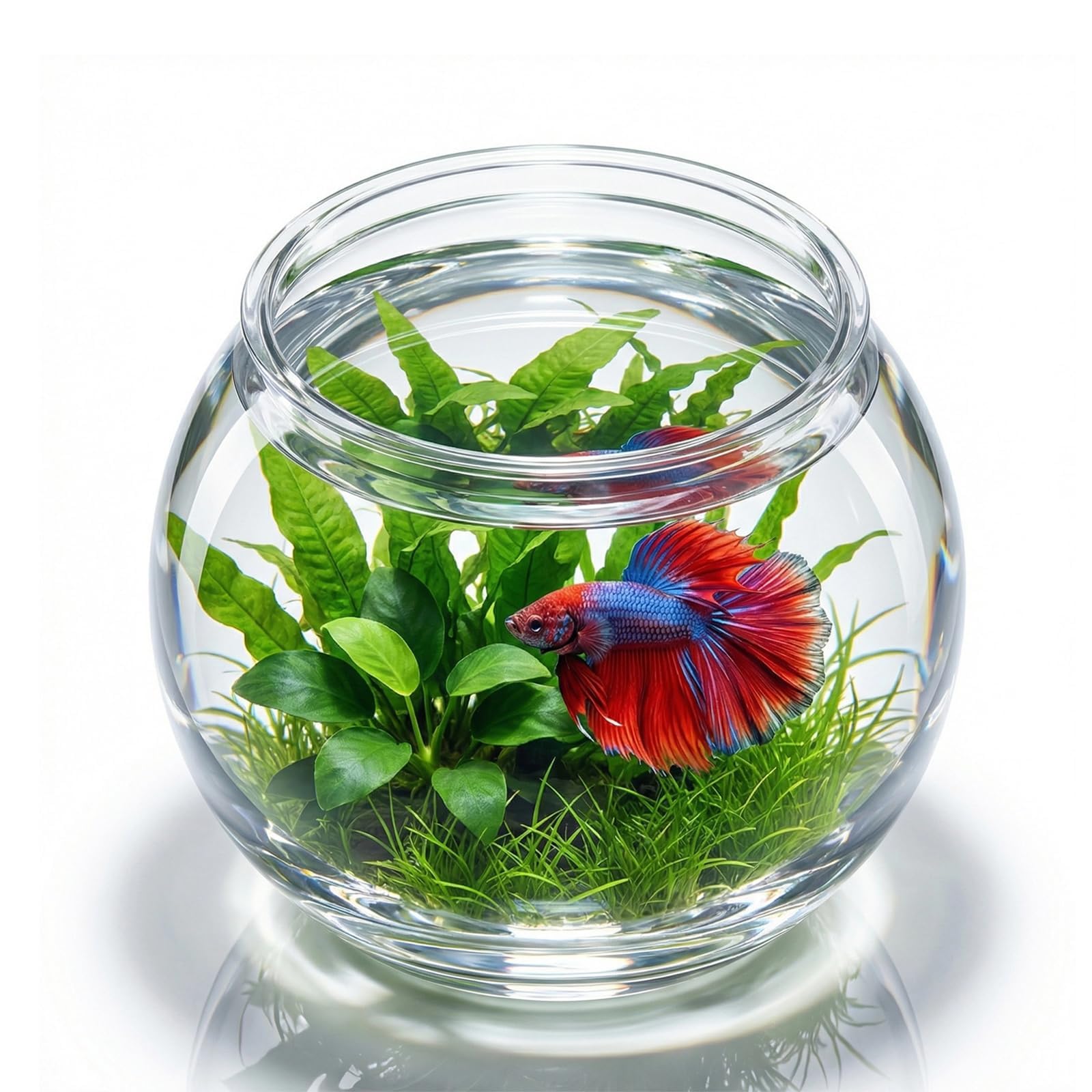 POPETPOP Plastic Aquarium Betta Fish Tank 1 Gallon Clear Goldfish Bowl Unbreakable Round Fish Vases Bowl for Home décor Wedding Event Party Goldfish Lovers