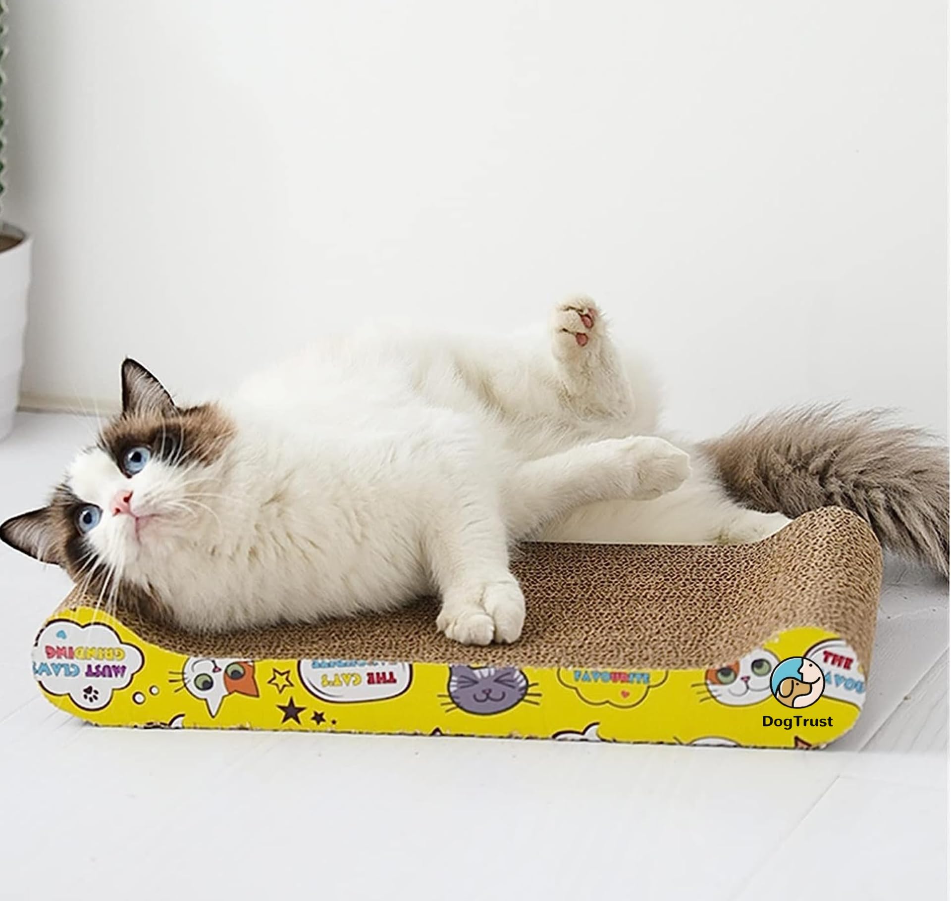 Dog Trust Cat Scratcher, Corrugated Cat Scratch Pad, Curved Cat Scratching Cardboard with Catnip, Double-Sided Cat Scratch, Cartoon-Bone (B0CCDM6WGH) Amazon Price History, Amazon Price Tracker