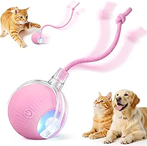 Interactive Electric Automatic Rolling Moving USB Rechargeable Self Activated Play Stimulation Toy Smart Chase Teaser Ball with Speedy Tail Rope for Bored Adult Indoor Cats and Dogs, Pink