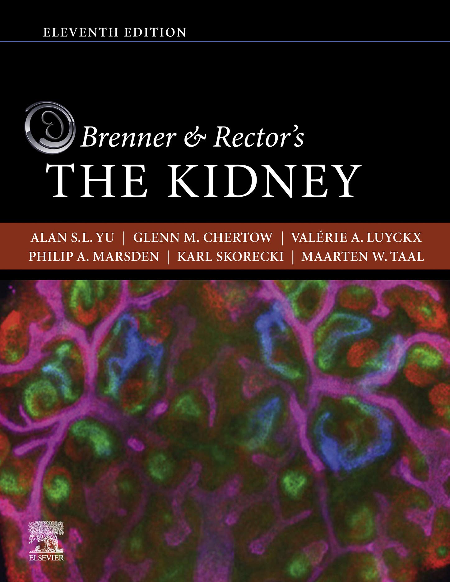 Brenner and Rector's The Kidney E-Book (English Edition)