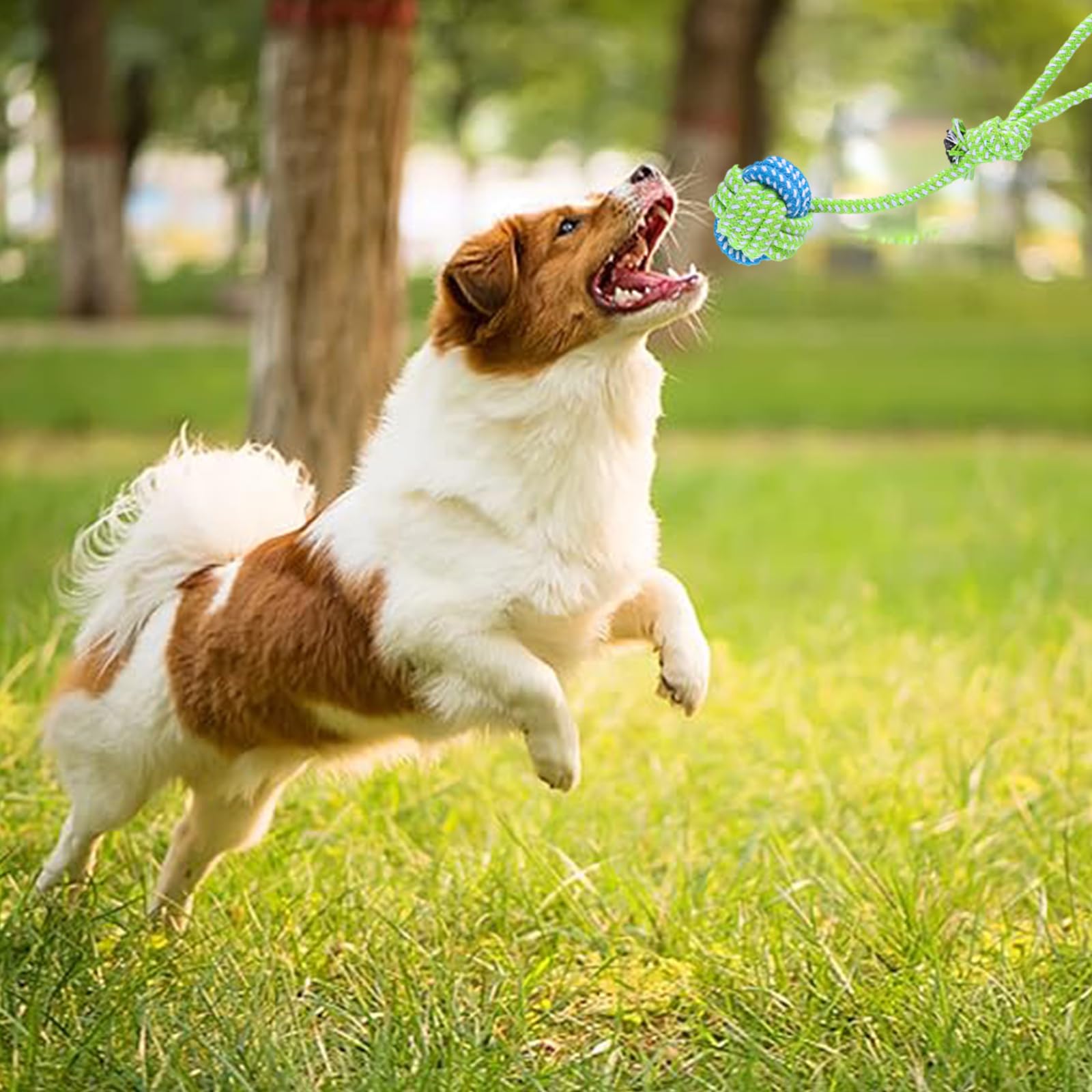 WideSmart 3 Pcs Dog Toys, Tough Dog Chew Toy,Dog Rope Toy,Dog Toys Indestructible,Sturdy Rope - Image 4