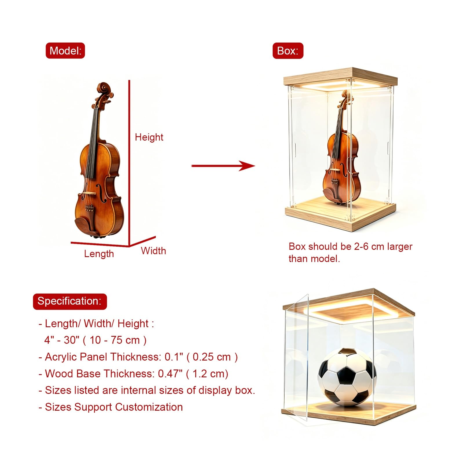 Teca Plexiglass Extra Lungo, LED a Luce Calda, Teca in Acrilico, Involucro | Vetrina con Base e Coperchio in Legno, Ampia Capacità di Stoccaggio, Organizer Personalizzabile(60x20xH20cm/24x8x8in)
