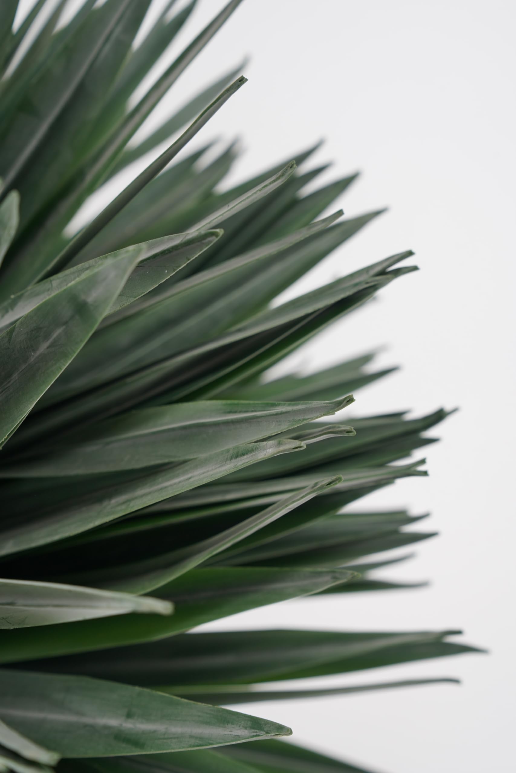 Yucca Pianta Grassa Sintetica da Arredamento Realistica 165 cm, Foglie PVC, per Spazi Interni, Abitazioni Residenziali e Attività Commerciali