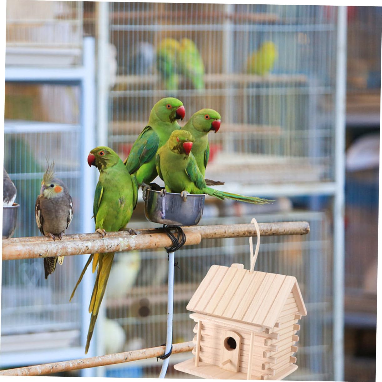 Toddmomy Hängendes Holz Vogelnest Brutkasten für Kleine Vögel 2 Stück | Beige, Hüttenstil, Unlackiert zum Selbstgemacht Bemalen, Dekorativ als Hausornament, für Papageien