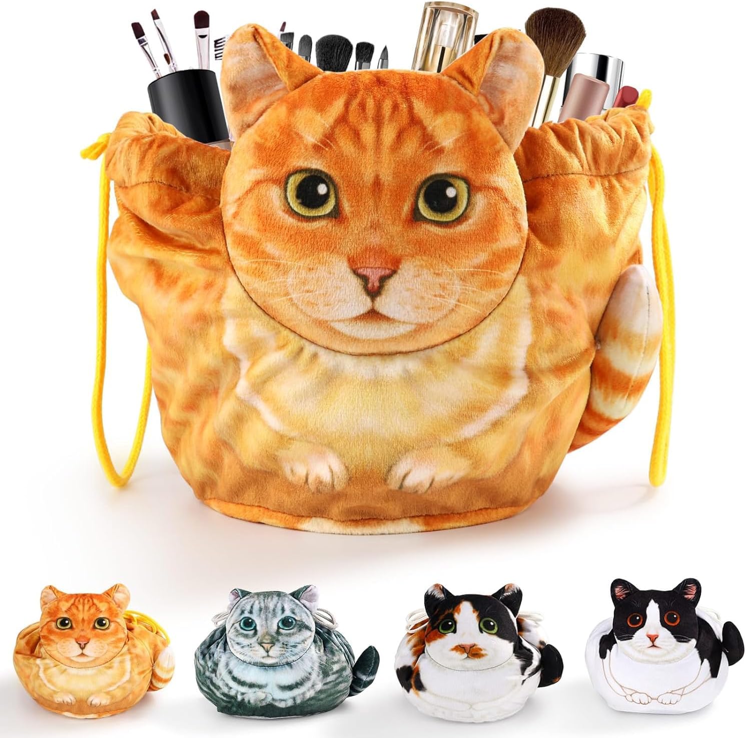 Orange Cat