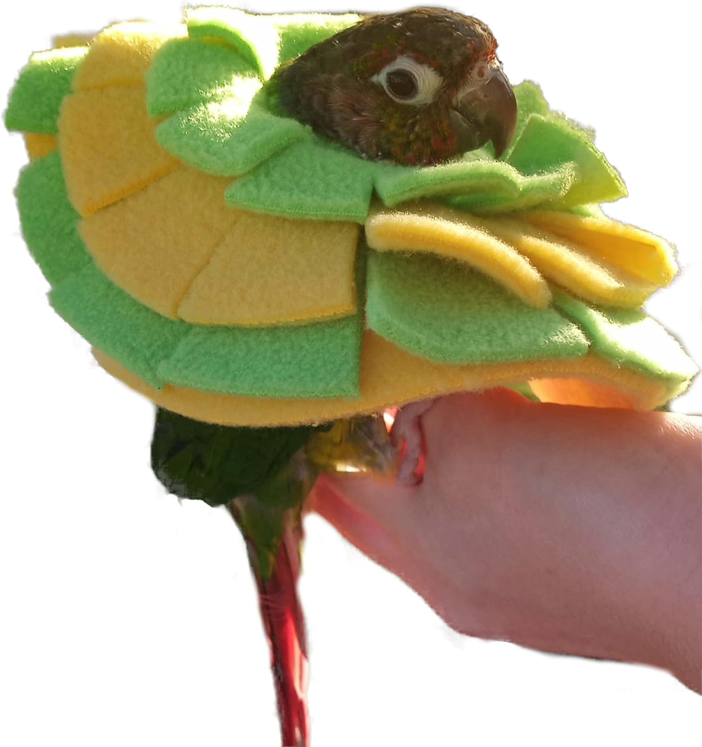 Soft Bird Collar for Green Cheek Conure, Cockatiels, and Pigeons