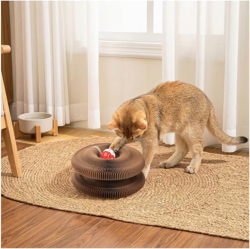 2-Pack Upgraded Kitty Curls Cat Scratcher, Magnetic Multi Shape Twisty Paws Cat Toy with Play Balls, Interactive Cats Toys for Indoor, Flexible Scratcher for Protection Furniture