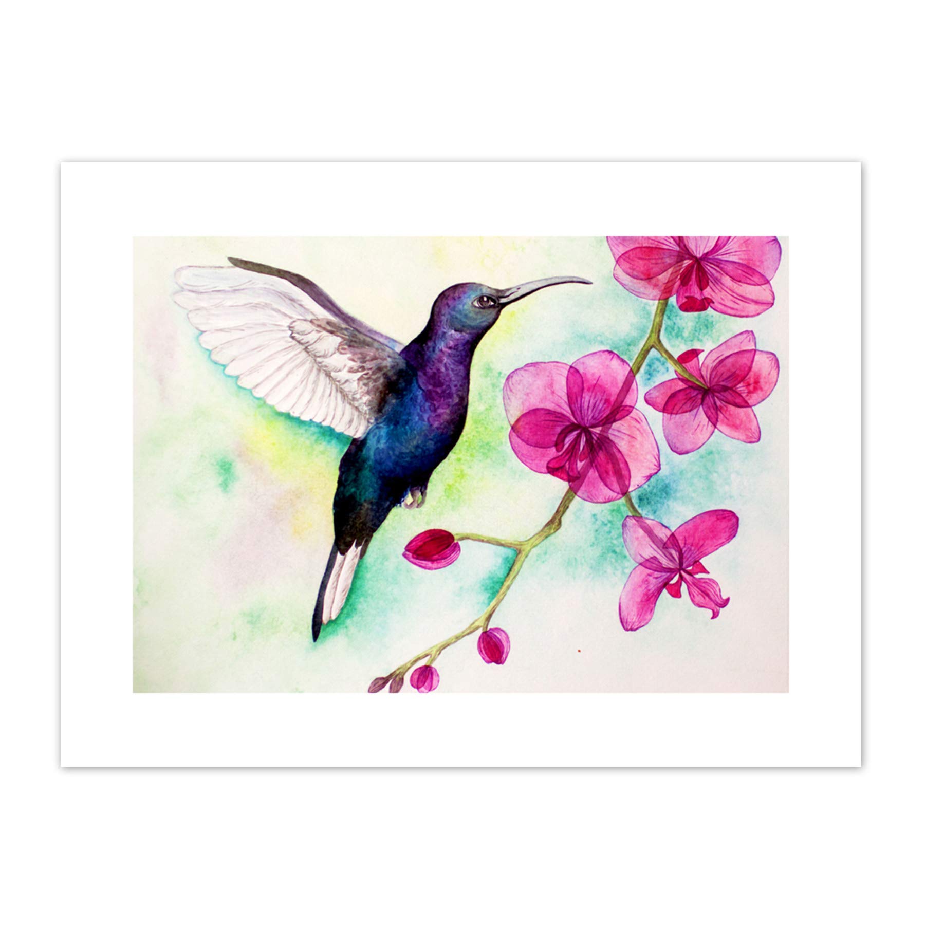 Wee Blue Coo Hummingbird And Orchid Art Print Canvas Premium Wall Decor Poster