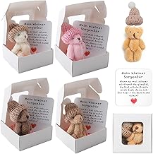 TOGETDREAM 4 Pieces Teddy Bear Boxed, Handmade Mini Teddy Bear in Box with Inspirational Card Mini Plush Pocket Small Hugging Pocket for Gifts Stuffed Animals