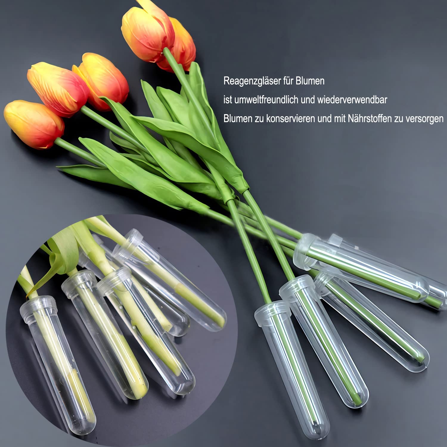 AIEX 6st Bloemwaterbuizen met Deksel, Grote Plastic Bloemen Waterbuizen, Bloemen Water Buizen Groot voor Verse Bloemen Kroontjeskruid Snijarrangement 10,8x3,6 cm (Transparant