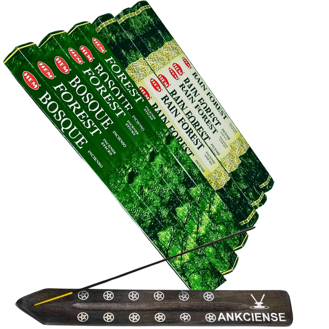 Forest & Rain Forest from Hem Bundled with ANKCIENSE Incense Holder Bundle, Variety Pack of 120 Sticks.