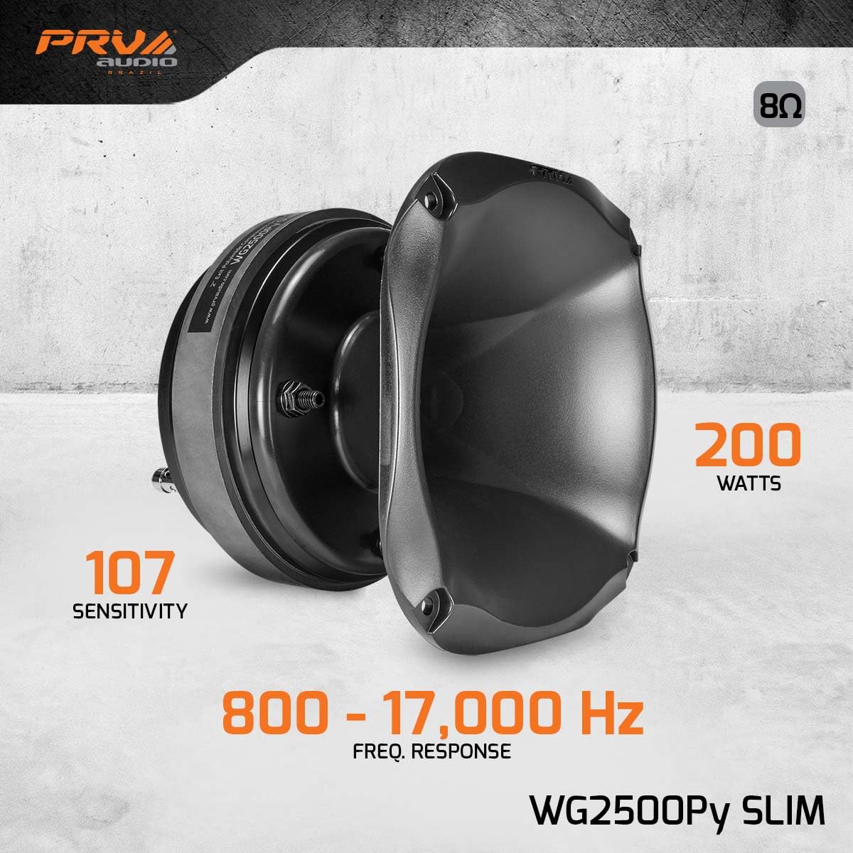 Amazon.com: PRV AUDIO 2X WG2500Py Slim 200 Watts 2