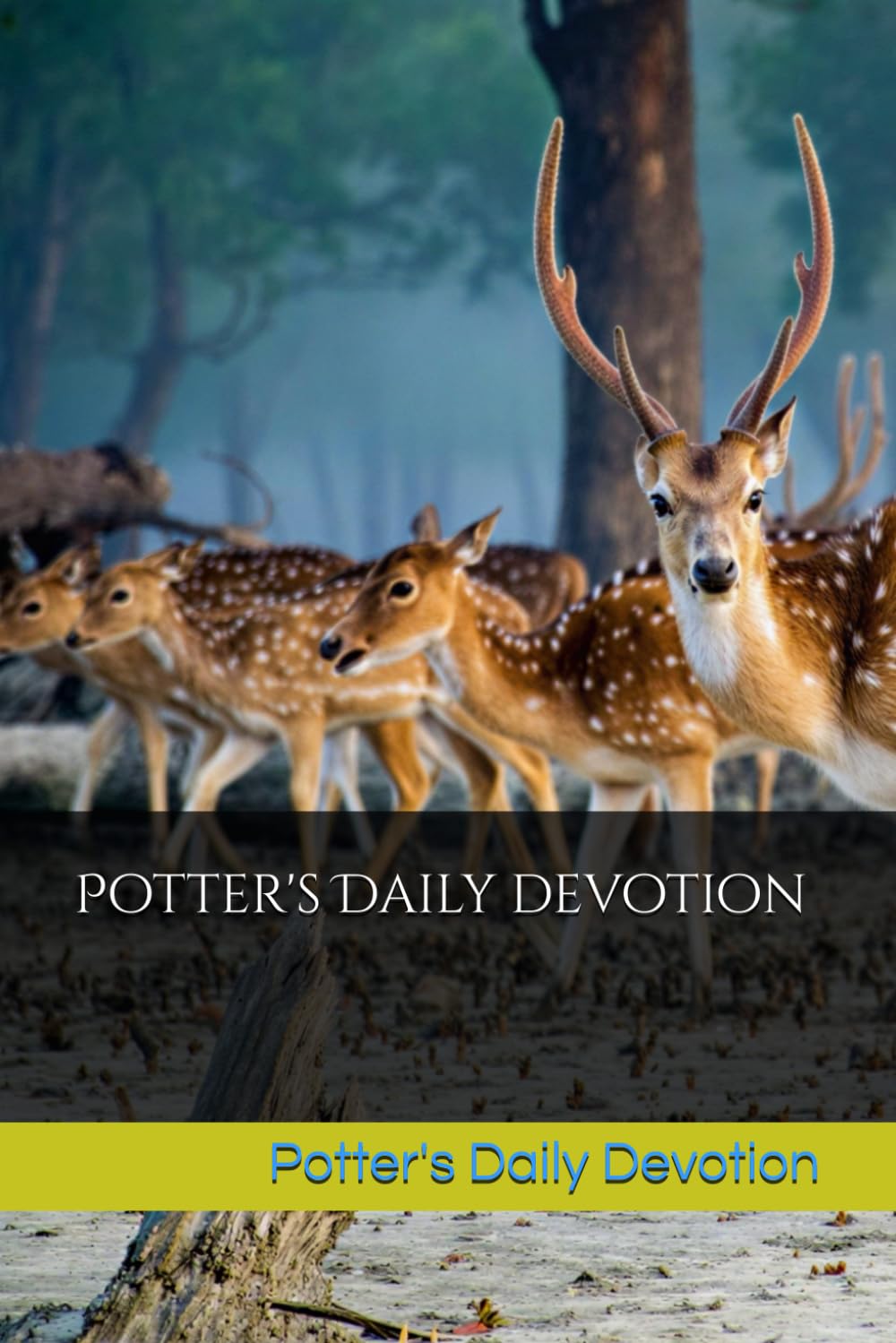 Potter's Daily Devotion: Daily devotions from the word of God