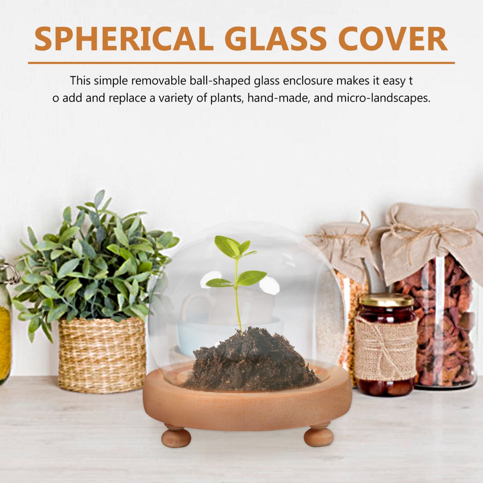 HAES Deco - Coupole Décorative En Verre Avec Base En Bois Marron, Diamètre 10 Cm Et