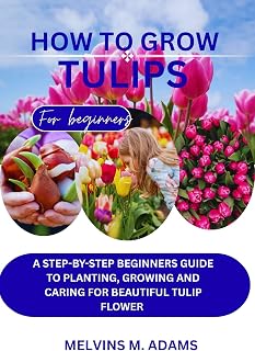 How to grow tulips : A Step-by-Step Beginner’s Guide to Planting, Growing, and Caring for Beautiful Tulip Flowers