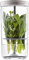 Kilner Herb Keeper Set: Keep Basil, Parsley, Mint Fresh Up to 3 Weeks | 1L Glass Jar, Stainless Lid, Silicone Lifter & Recipes