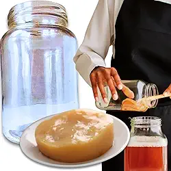 Kombucha Tradicional Scoby Colônia Viva Chá Fermentado Natural + Vidro 500ml com Tampa Original Caseiro Artesanal Probiótico Saudável Detox