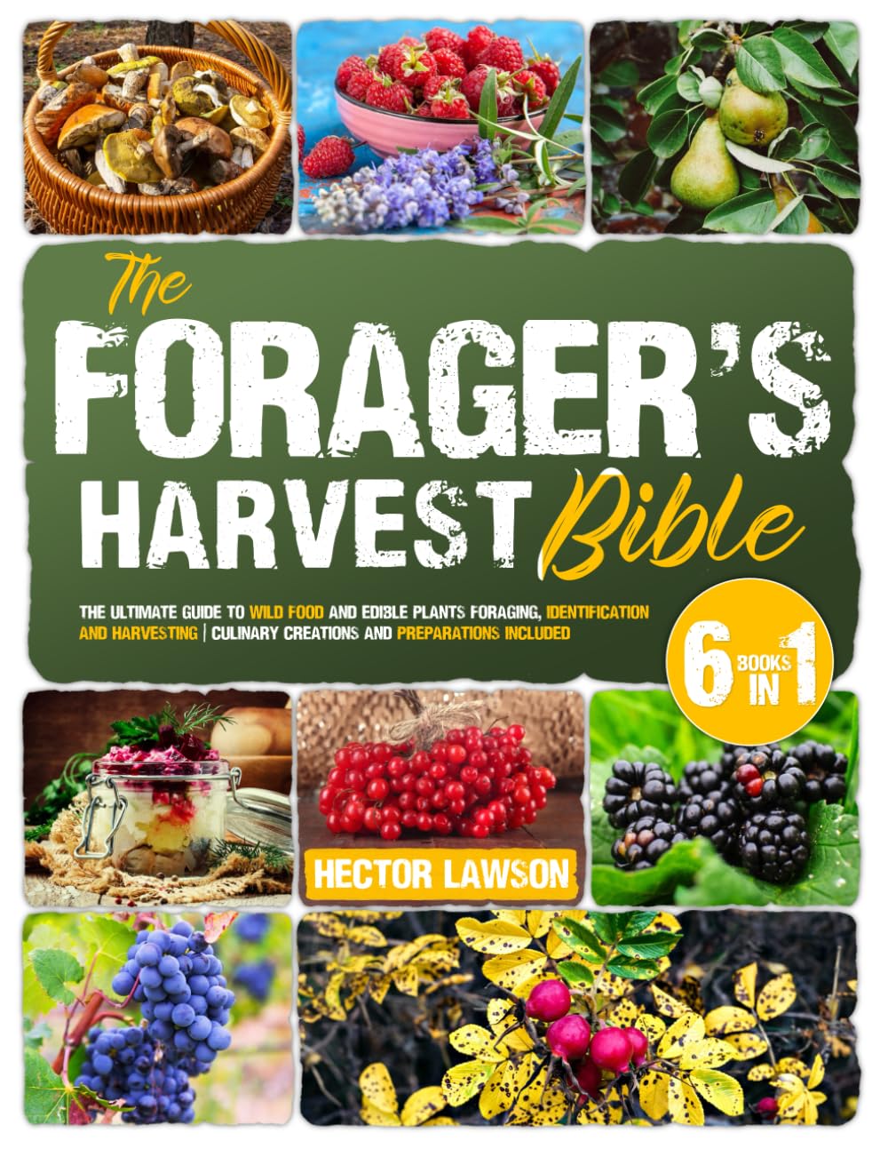 The Forager's Harvest Bible: The Ultimate Guide to Wild Food and Edible Plants Foraging, Identification and Harvesting | Culinary Creations and Preparations Included