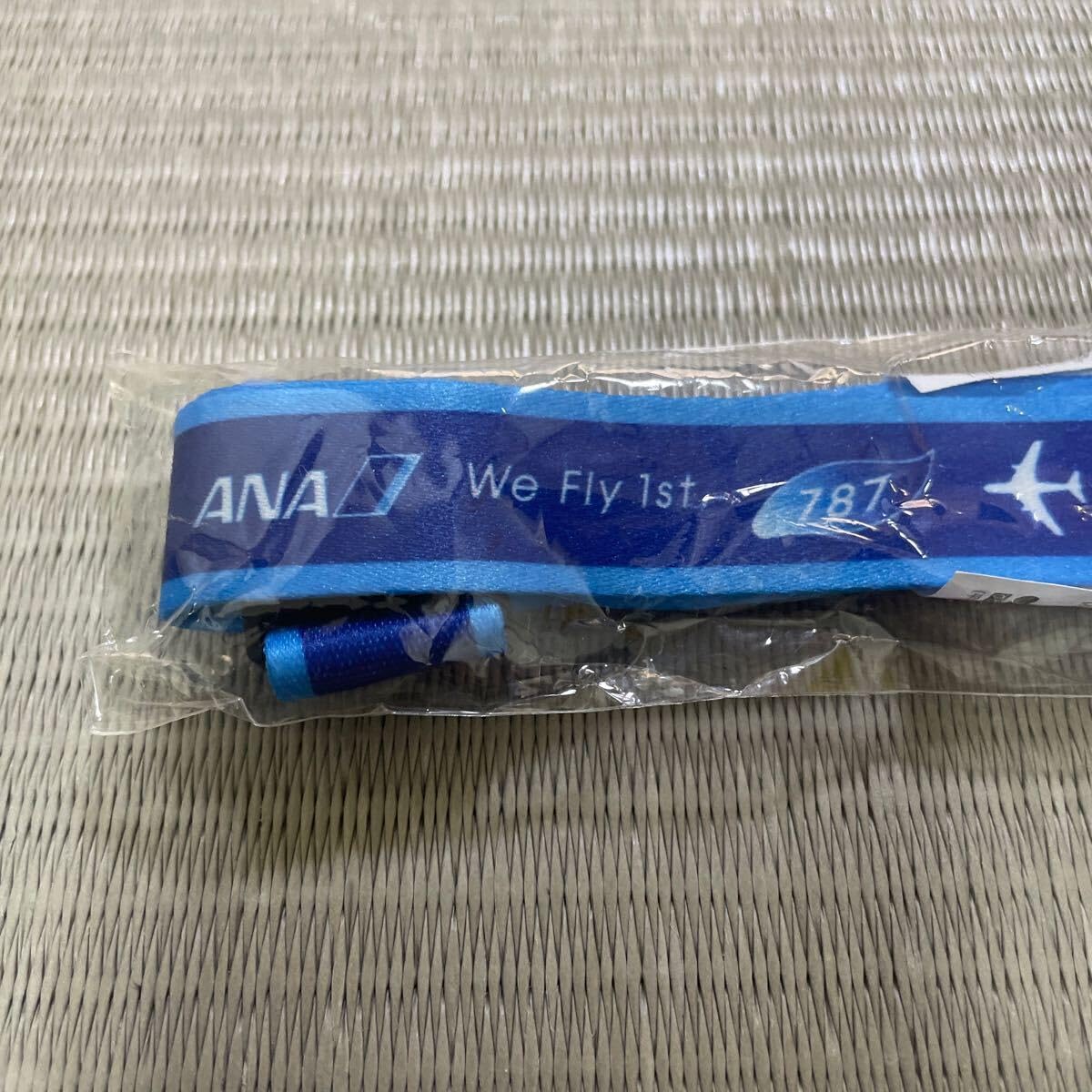 Amazon.co.jp: ANA 787 ネックストラップ 全日本空輸 全日空 : おもちゃ