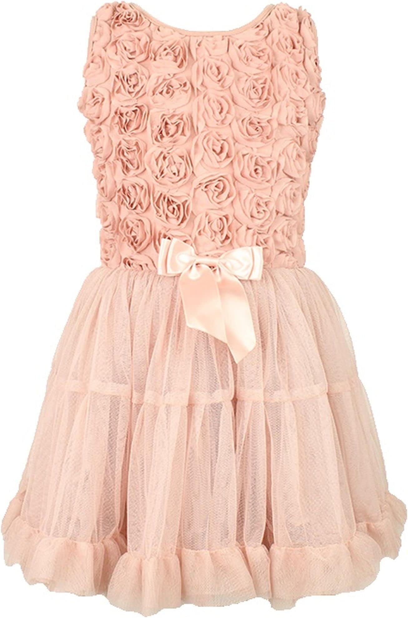 PopatuBaby Girl's Dusty Rose Rosette Embellished Tulle Tutu Dress