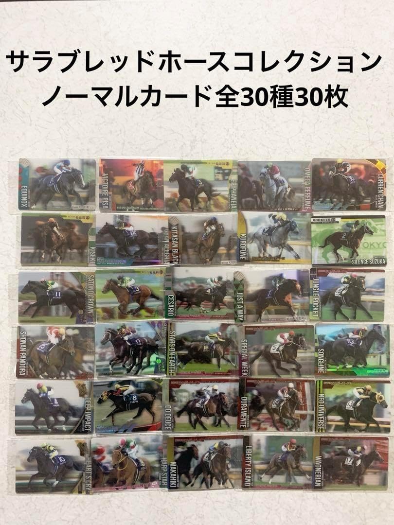 全30種30枚コンプセット サラブレッドホースコレクション 全30種30枚