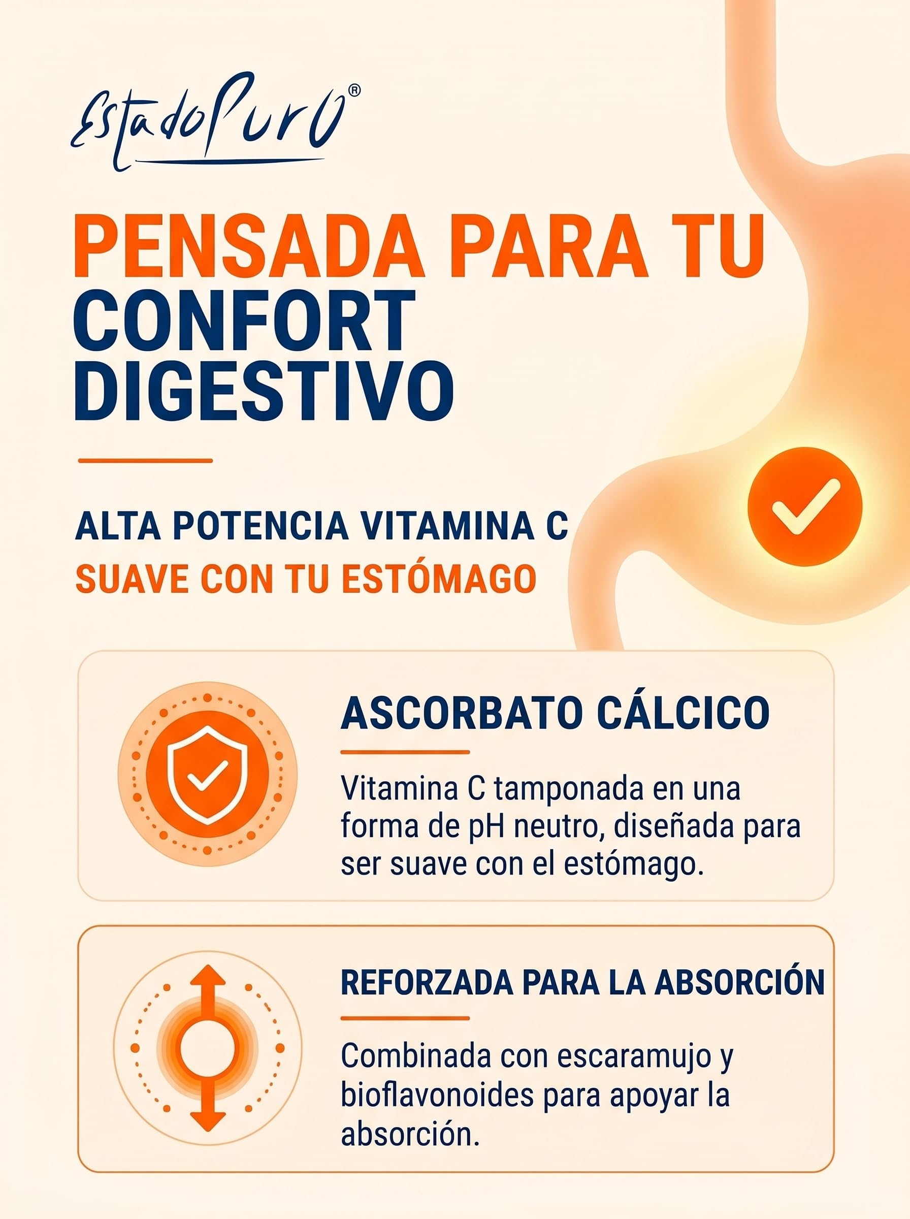 Vitamina C 1000 mg Estado Puro | 100 Comprimidos con Escaramujo y Bioflavonoides Cítricos | Suministro para 3 Meses | Alta Absorción, Suave para el estómago | Vegana, Sin Gluten | Tongil (1)