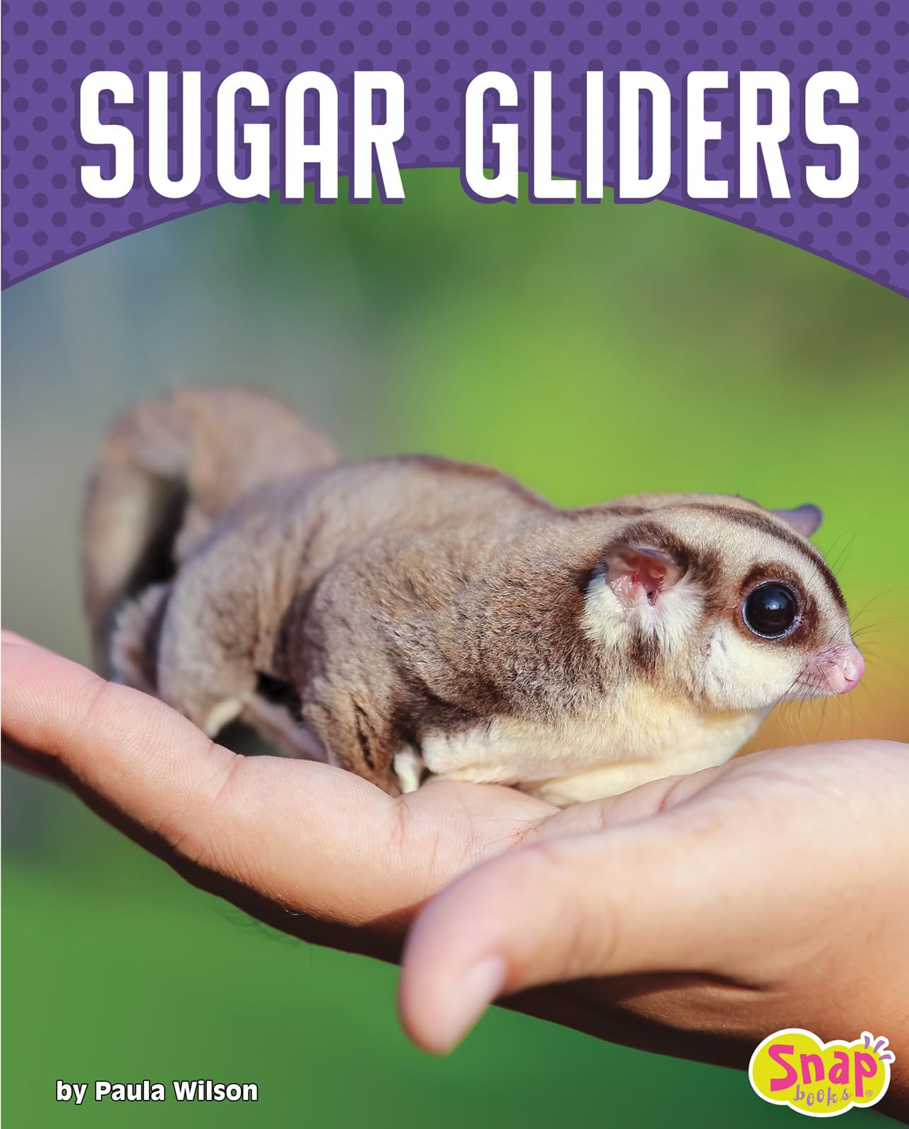 Sugar Gliders Library Binding – Illustrated, 1 August 2018