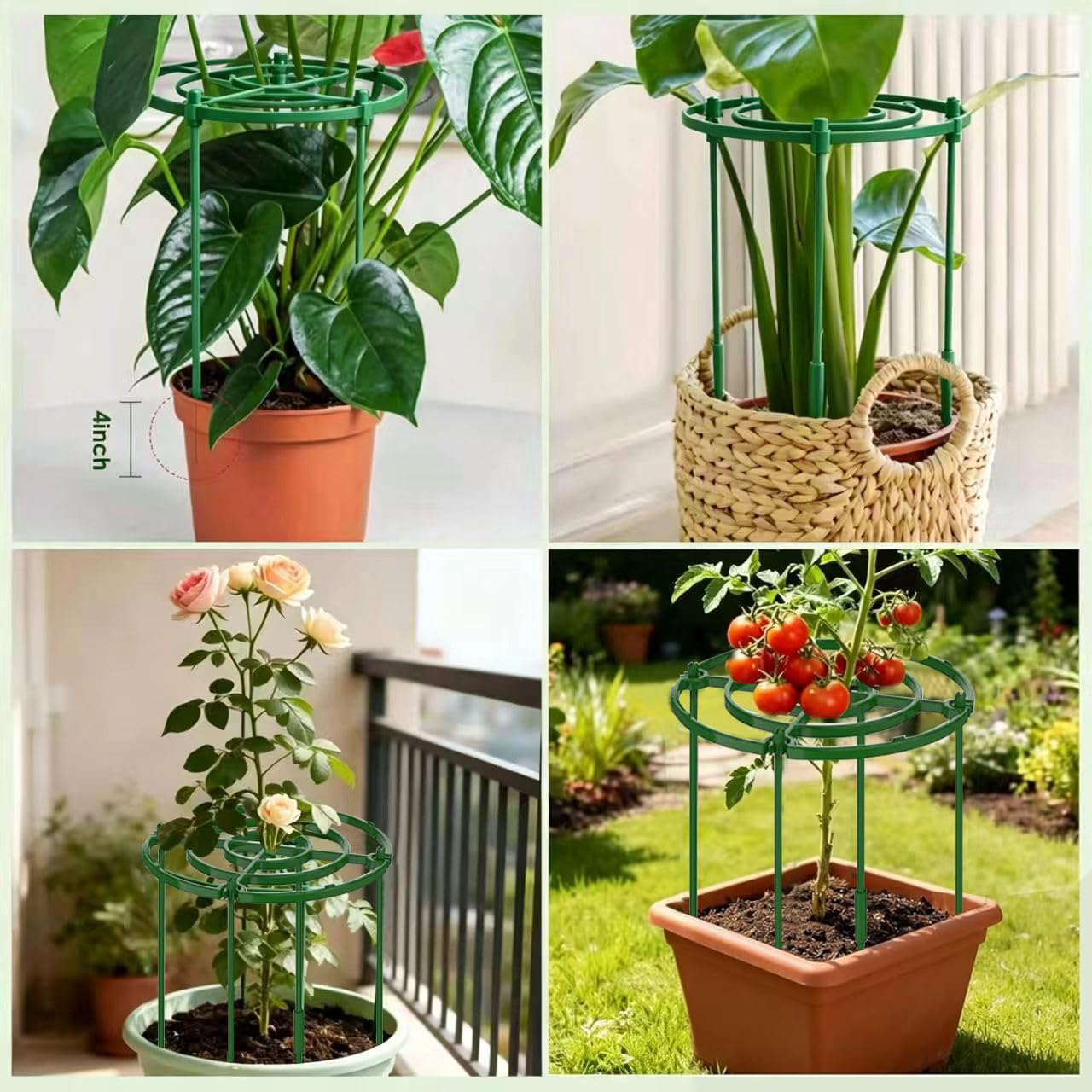 4er-Set Pfingstrosen-Halterung Aus Metall – 30 Cm Durchmesser, 60 Cm Höhe, Pulverbeschichtet, Rostfrei – Pflanzenstütze Für