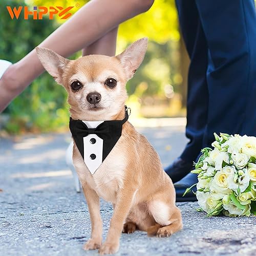 Miniatura 4 de Collar tipo bandana de esmoquin con pajarita para mascotas, disfraz formal de boda, disfraz formal de compromiso, cumpleaños, traje de mascotas para