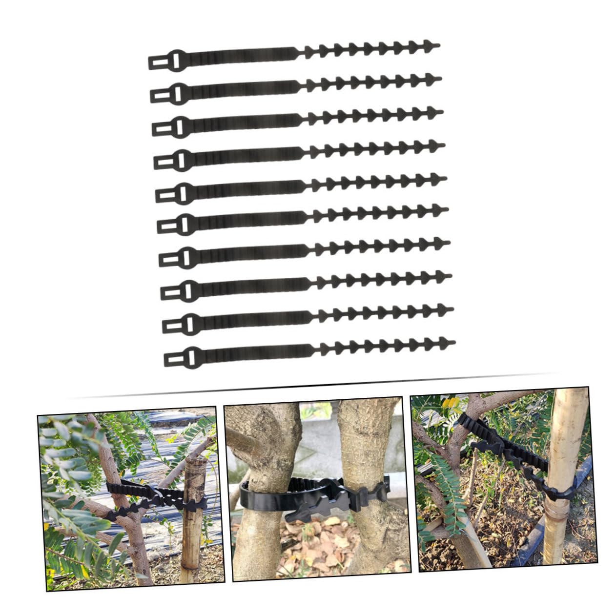 Gatuida 10 Stück Flexible Gummi Baumbefestigungsbänder zum Pflanzenbinden und Aststützen Verstellbar und Langlebig für Garten und Baumpflege