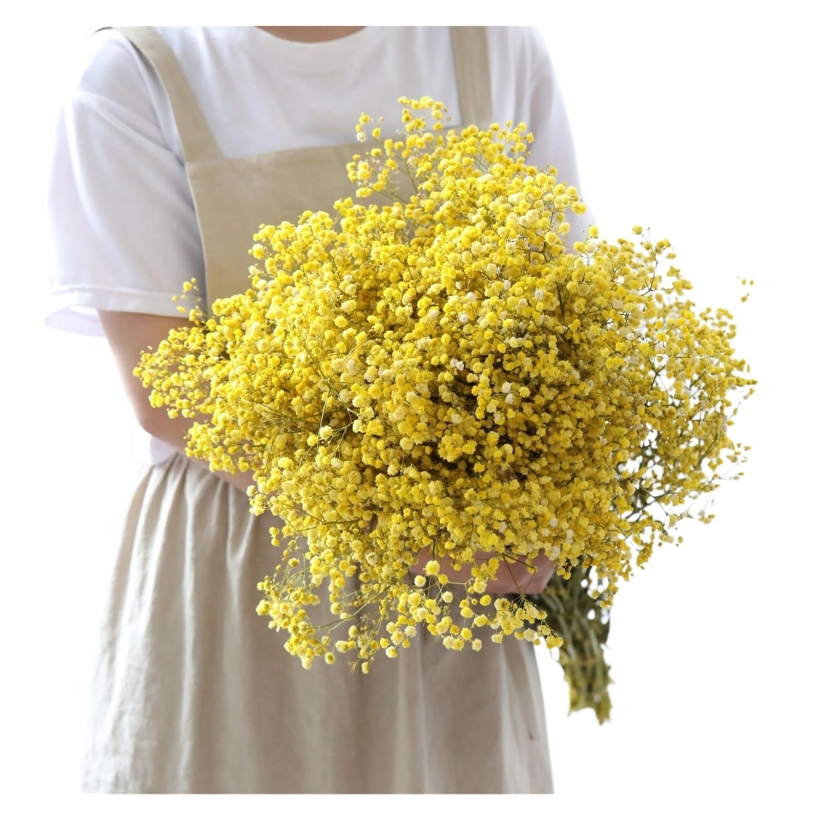 WJIAYAO dried gypsophila flowers Dried Flowers Gypsophila Baby Breath Bouquet Gypsophile Wedding Party Decoration Home Photo Decor(YELLOW,40g)