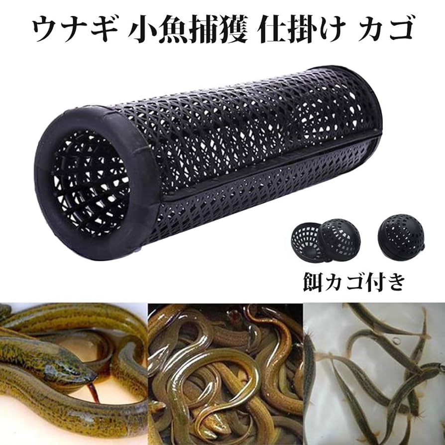 うなぎ　マル秘仕掛け When we tried putting Amazon's eel tube in the river