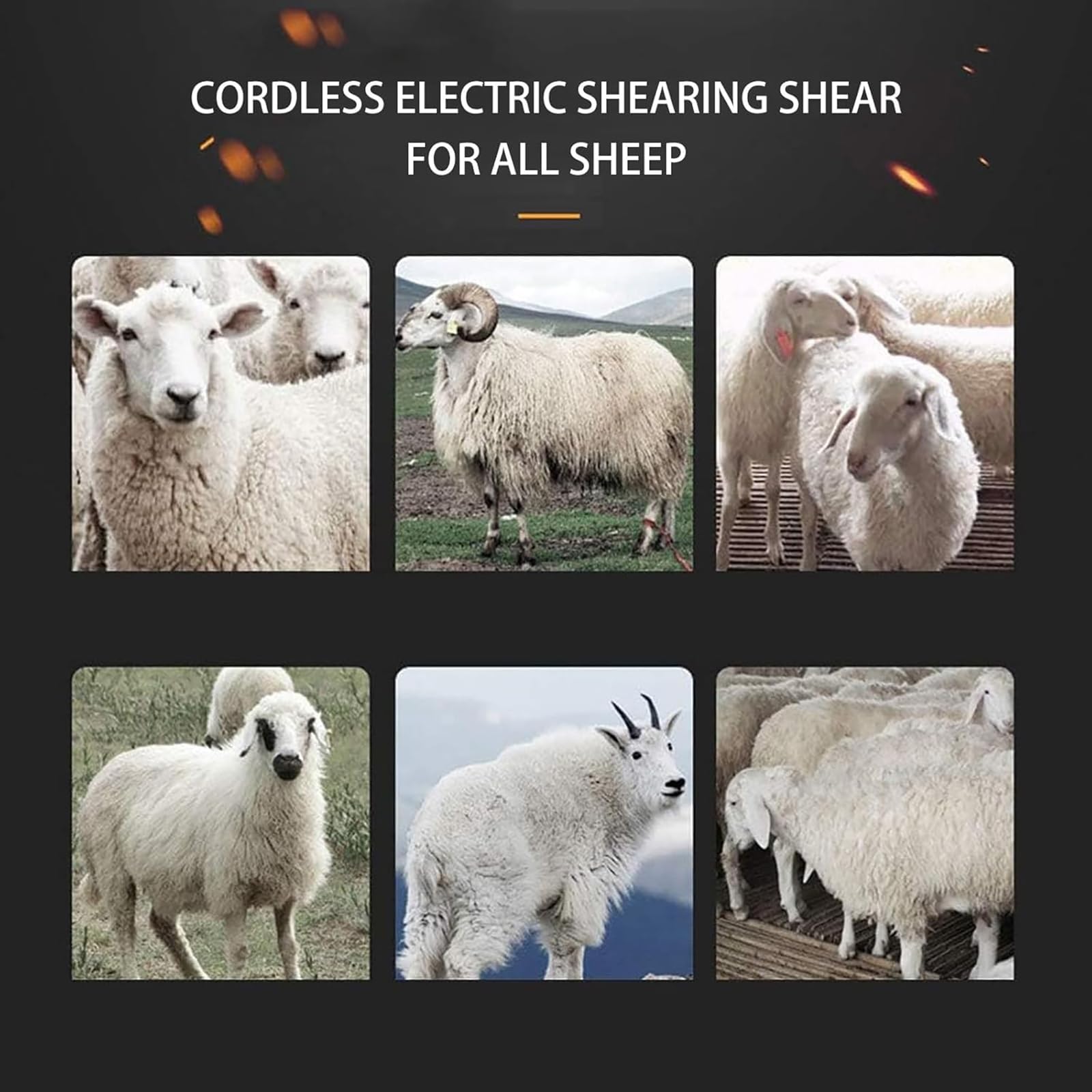 Esquiladora eléctrica inalámbrica Profesional para ovejas. Incluye Cuchillas de Repuesto. Potente afeitadora eléctrica de Acero aleado para Lana y Pelo de Oveja. (13)